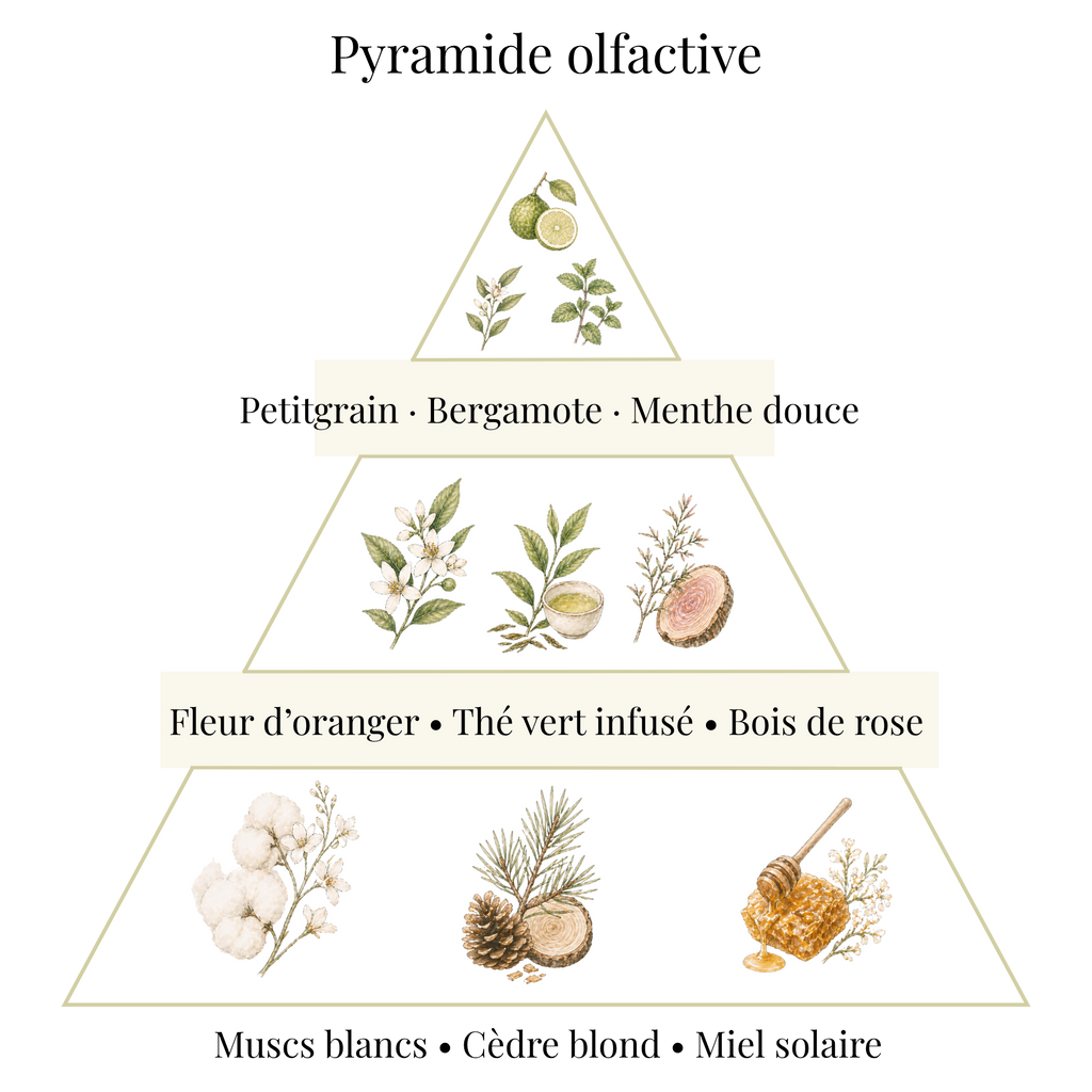 Bougie parfumée - Fleur d'oranger & Thé vert