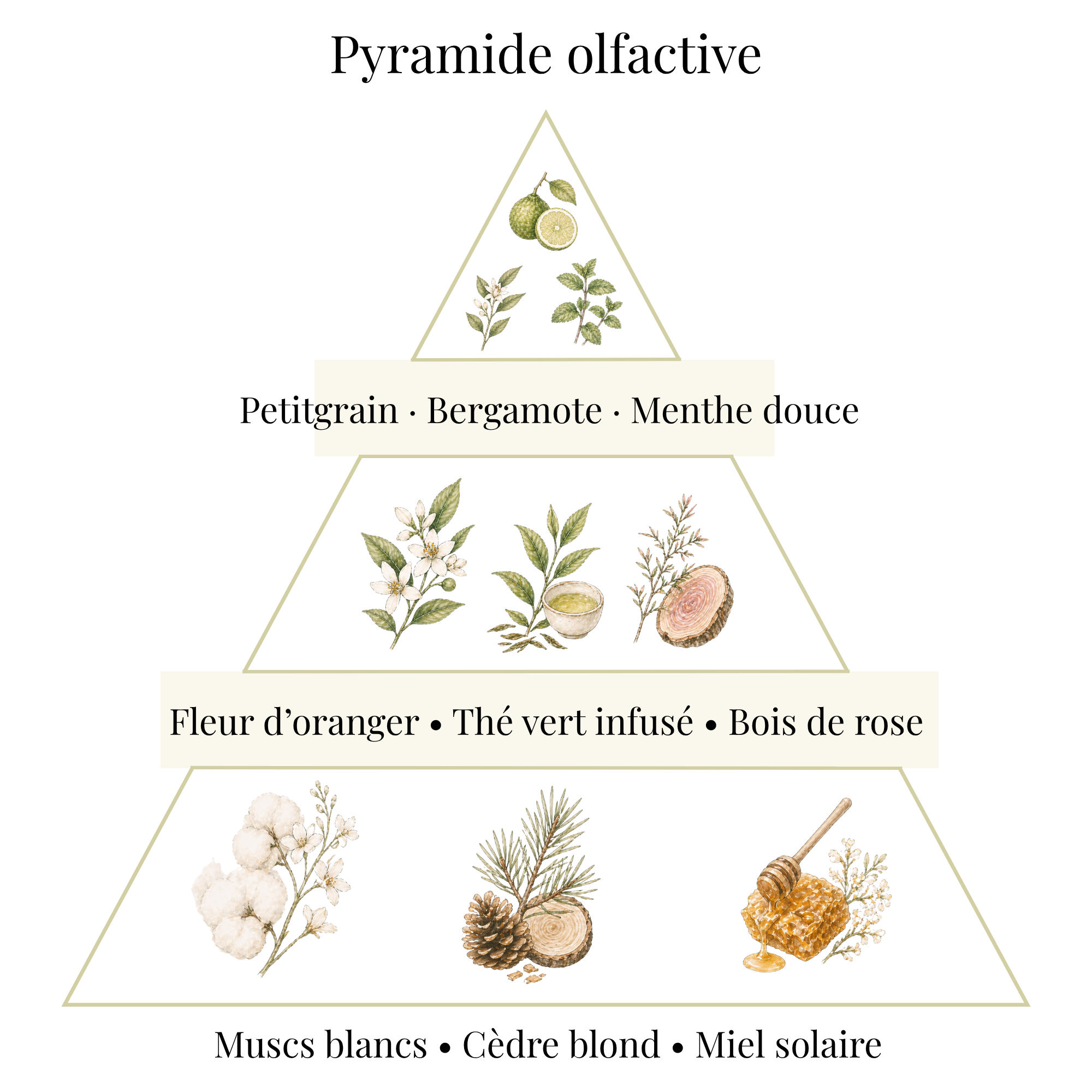 Bougie parfumée - Fleur d'oranger & Thé vert