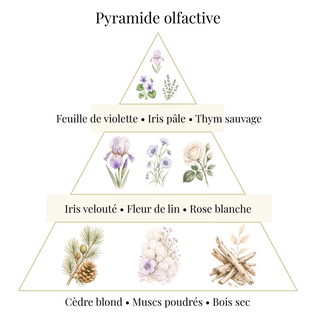 Bougie parfumée - Iris & Lin