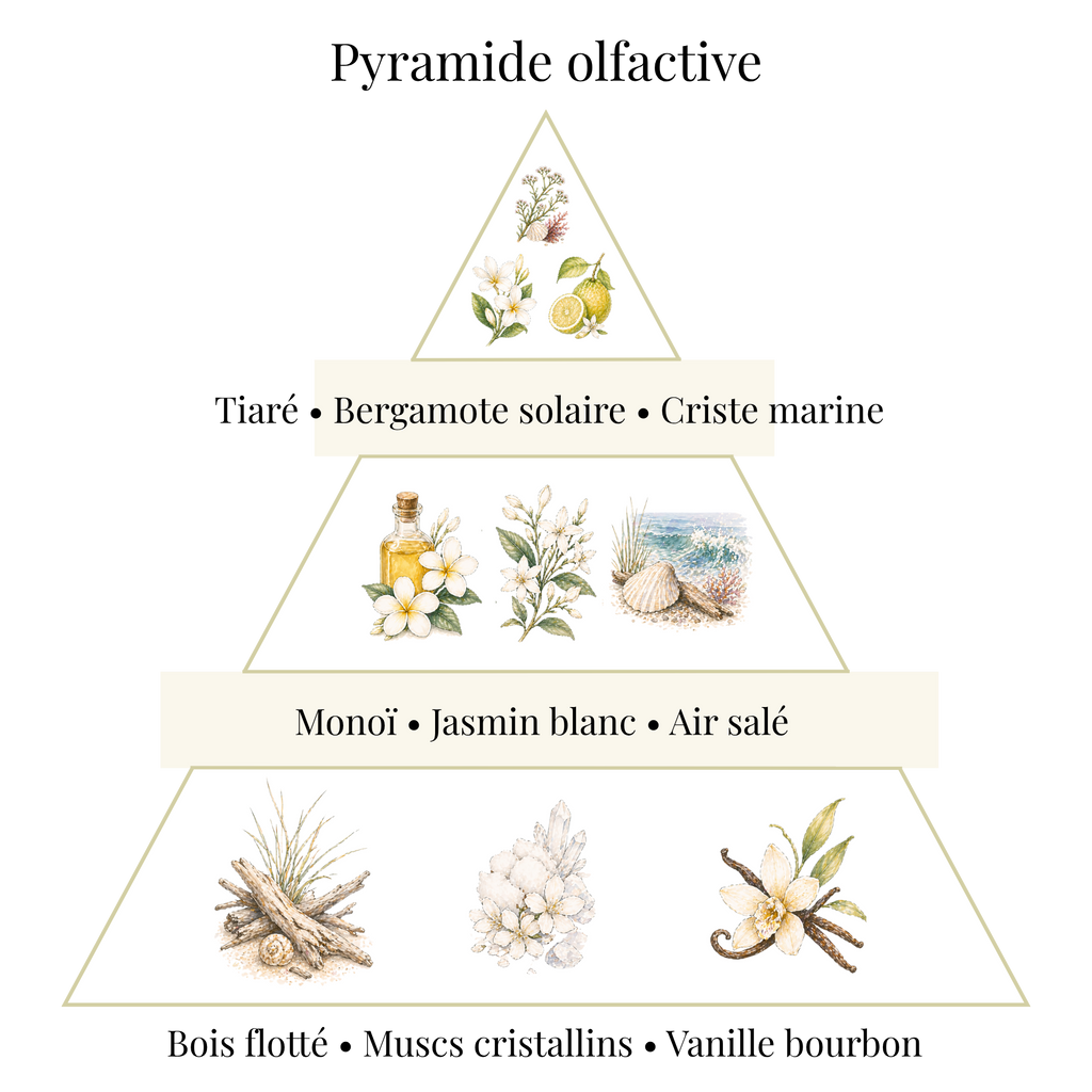 Bougie parfumée - Monoï & Air marin