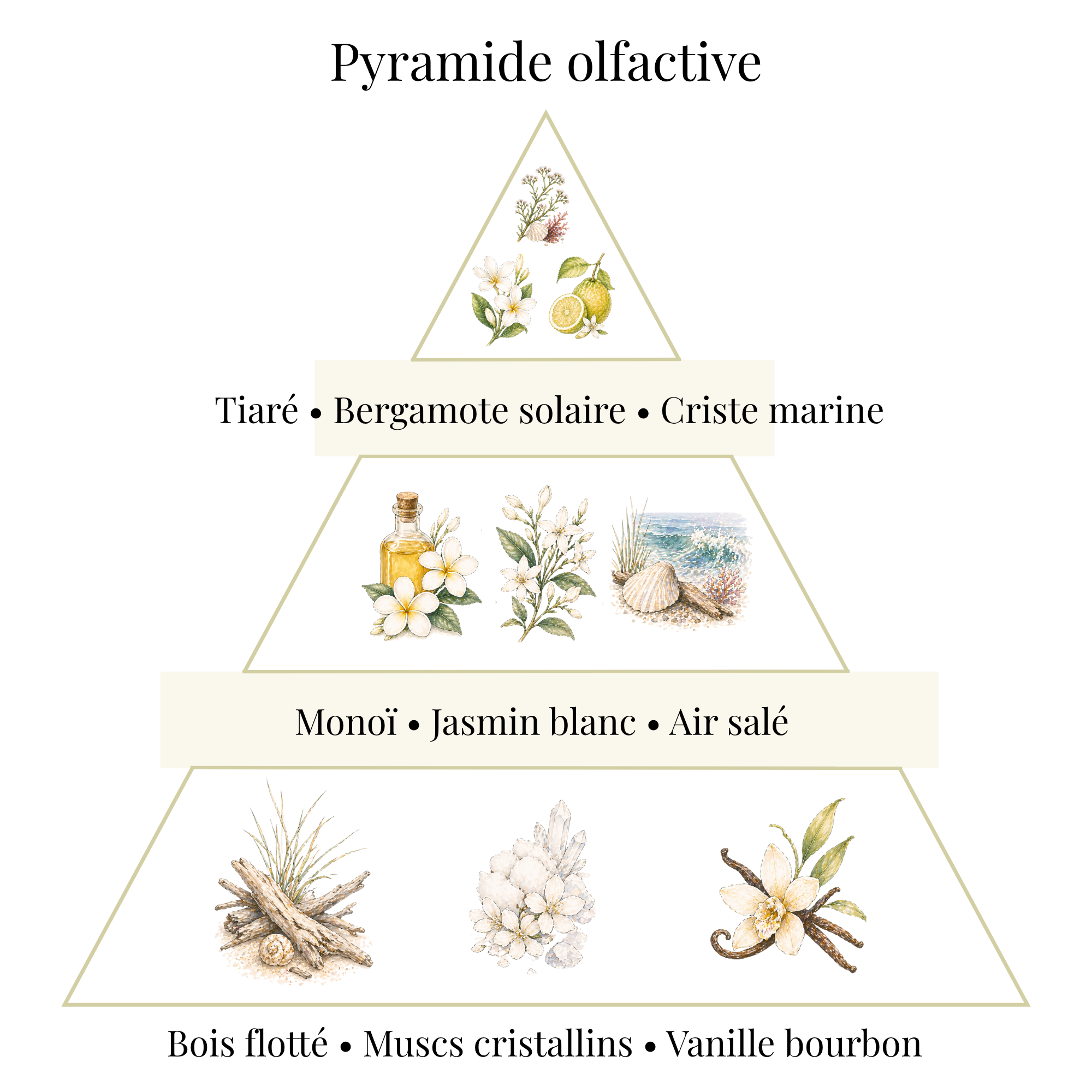 Bougie parfumée - Monoï & Air marin