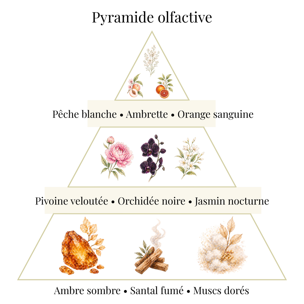 Bougie parfumée - Pivoine & Orchidée noire